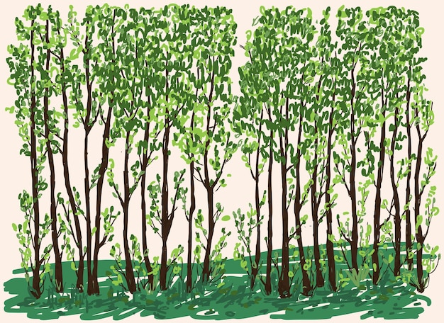 Vector vector illustration of young deciduous trees in spring