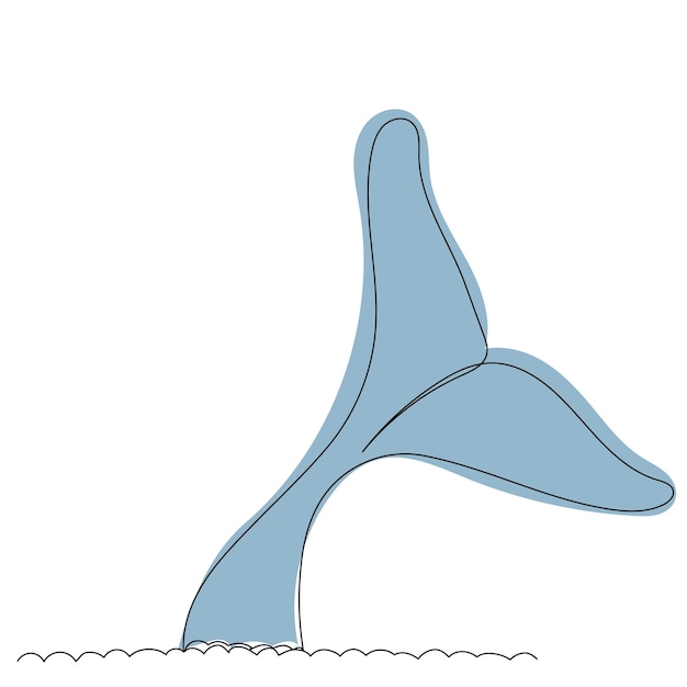 Vector vector, isolated whale tail one line drawing, sketch
