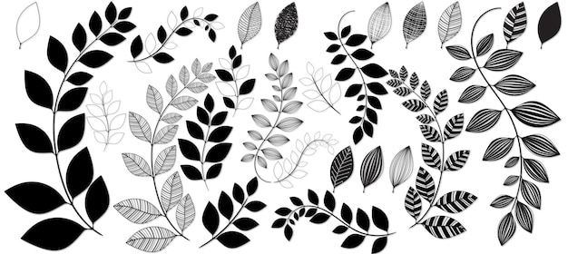 Vector vector leaves pack