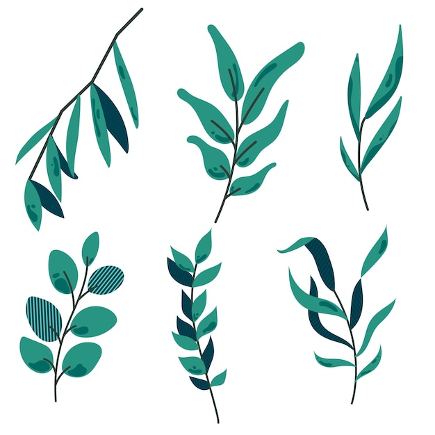 Vector vector leaves set leaves illustration