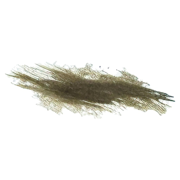 Vector vector watercolor painted brush stroke hand drawn design element isolated on white background