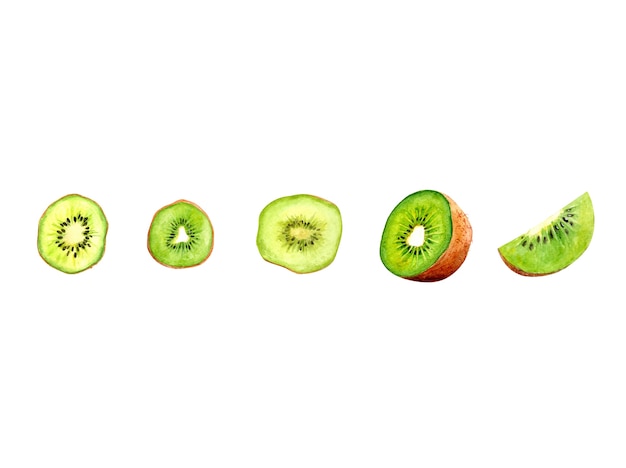 Vector watercolor kiwis