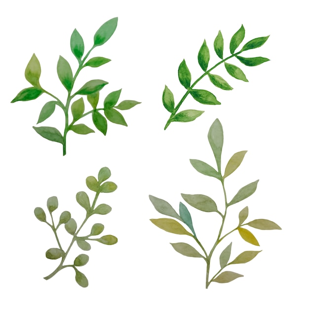 Vector watercolor leaves collection