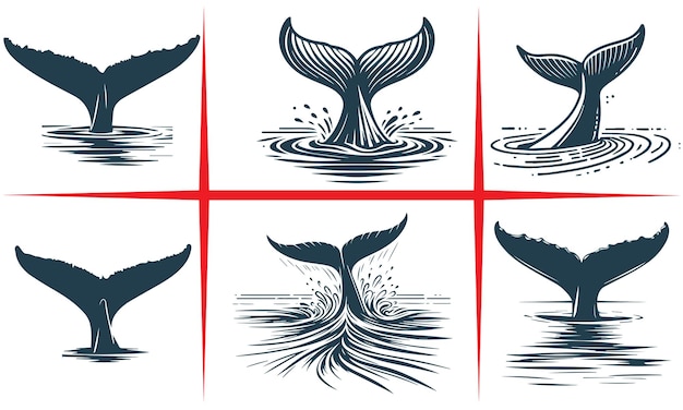 Vector whale tail illustrationstranquil whale tail silhouette vector
