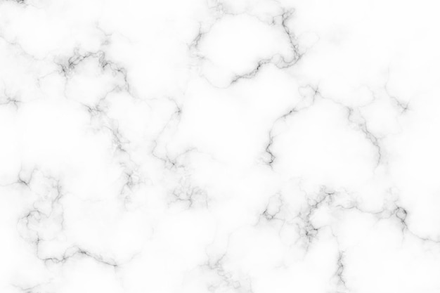 Vector white marble textured backgrounds