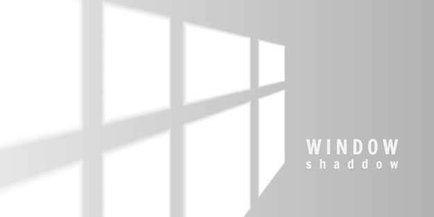 Vector window light shadow on wall with soft sunlight and minimalist geometric pattern vector