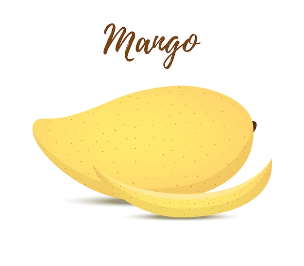 Vector yellow 3d realistic mango with slices. 