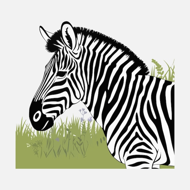 Vector zebra clipart vector illustration